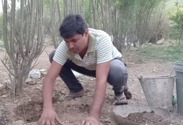plantatin by dilip