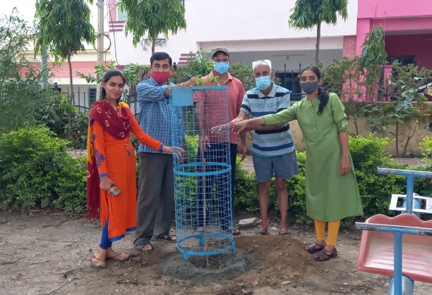 plantation by bhatnagar